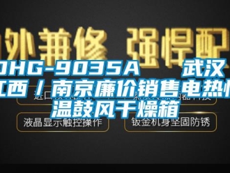 常見問題DHG-9035A   武漢／江西／南京廉價(jià)銷售電熱恒溫鼓風(fēng)干燥箱