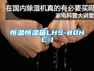 知識百科恒溫恒濕箱LHS-80HC-I