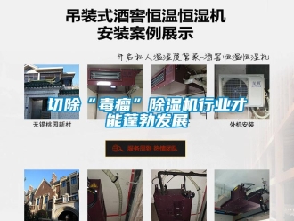 行業(yè)新聞切除“毒瘤”除濕機行業(yè)才能蓬勃發(fā)展