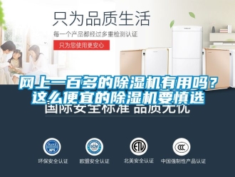 行業(yè)新聞網(wǎng)上一百多的除濕機有用嗎？這么便宜的除濕機要慎選