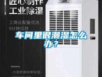 企業(yè)新聞車間里很潮濕怎么辦？