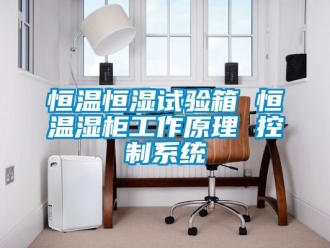 知識(shí)百科恒溫恒濕試驗(yàn)箱 恒溫濕柜工作原理 控制系統(tǒng)