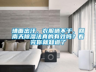 常見(jiàn)問(wèn)題墻面出汗，衣服曬不干，回南天除濕法真的有效嗎？看完你就知道了