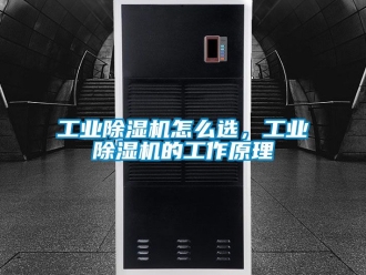 常見(jiàn)問(wèn)題工業(yè)除濕機(jī)怎么選，工業(yè)除濕機(jī)的工作原理