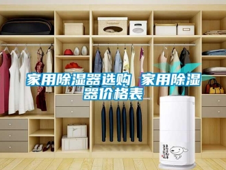 行業(yè)新聞家用除濕器選購 家用除濕器價(jià)格表