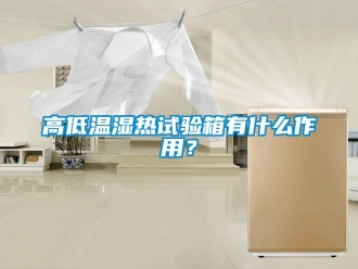 常見問題高低溫濕熱試驗(yàn)箱有什么作用？