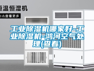 常見問題工業(yè)除濕機(jī)哪家好-工業(yè)除濕機(jī)-鴻河空氣處理(查看)