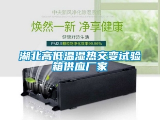 常見問題湖北高低溫濕熱交變試驗箱供應(yīng)廠家