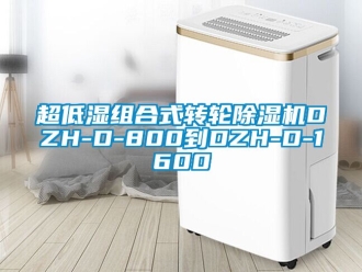 常見問題超低濕組合式轉(zhuǎn)輪除濕機DZH-D-800到DZH-D-1600