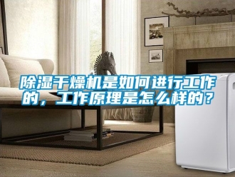 企業(yè)新聞除濕干燥機是如何進行工作的，工作原理是怎么樣的？