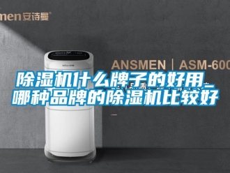 企業(yè)新聞除濕機(jī)什么牌子的好用_哪種品牌的除濕機(jī)比較好