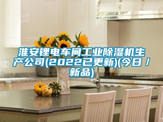 常見問題淮安鋰電車間工業(yè)除濕機(jī)生產(chǎn)公司(2022已更新)(今日／新品)