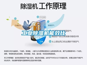企業(yè)新聞工業(yè)除濕機能效比