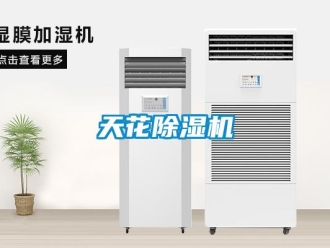 知識(shí)百科天花除濕機(jī)