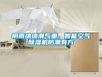 知識百科陰雨綿綿潮氣重，智能空氣除濕機防潮有方