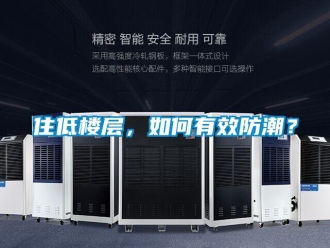 常見問題住低樓層，如何有效防潮？