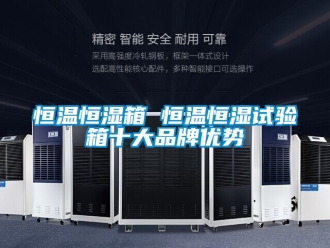 知識百科恒溫恒濕箱 恒溫恒濕試驗箱十大品牌優(yōu)勢