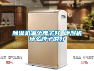 行業(yè)新聞除濕機(jī)哪個牌子好 除濕機(jī)什么牌子的好