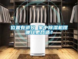 知識百科位置有講究 家中除濕機擺哪兒更合適？