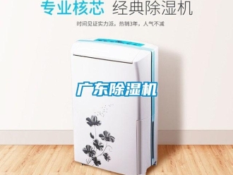 行業(yè)新聞廣東除濕機(jī)