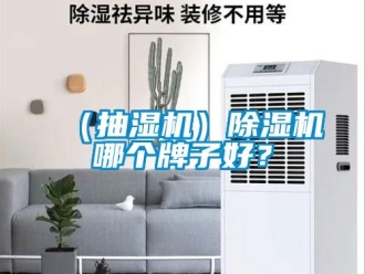 新聞資訊（抽濕機(jī)）除濕機(jī)哪個(gè)牌子好？