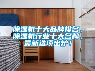 企業(yè)新聞除濕機(jī)十大品牌排名，除濕機(jī)行業(yè)十大名牌，最新選項(xiàng)出爐！