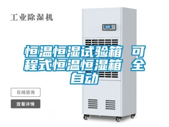 知識(shí)百科恒溫恒濕試驗(yàn)箱 可程式恒溫恒濕箱 全自動(dòng)