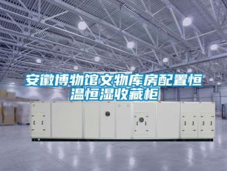 常見問題安徽博物館文物庫(kù)房配置恒溫恒濕收藏柜