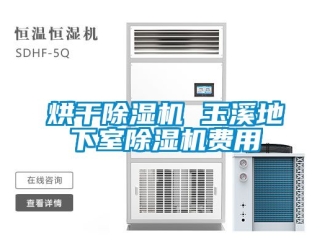行業(yè)新聞烘干除濕機 玉溪地下室除濕機費用