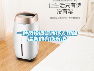 行業(yè)新聞一種風冷調(diào)溫冰場專用除濕機的制作方法