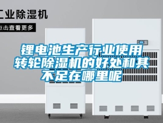 行業(yè)新聞鋰電池生產(chǎn)行業(yè)使用轉(zhuǎn)輪除濕機(jī)的好處和其不足在哪里呢