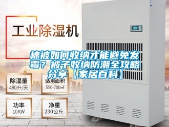 常見問題棉被如何收納才能避免發(fā)霉？被子收納防潮全攻略分享【家居百科】
