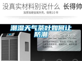 常見問題潮濕天氣茶葉如何讓防潮