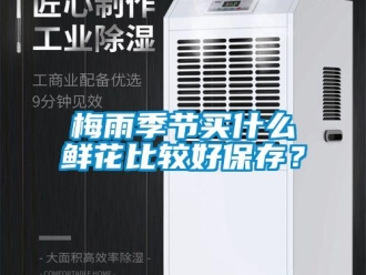 行業(yè)新聞梅雨季節(jié)買什么鮮花比較好保存？