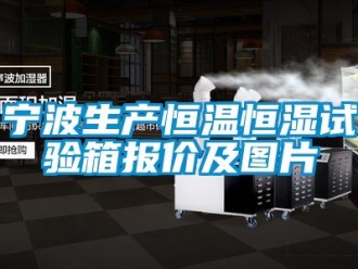 知識(shí)百科寧波生產(chǎn)恒溫恒濕試驗(yàn)箱報(bào)價(jià)及圖片