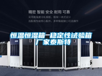 知識百科恒溫恒濕箱 穩(wěn)定性試驗箱 廠家泰斯特