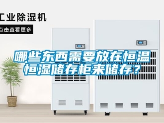 知識百科哪些東西需要放在恒溫恒濕儲存柜來儲存？