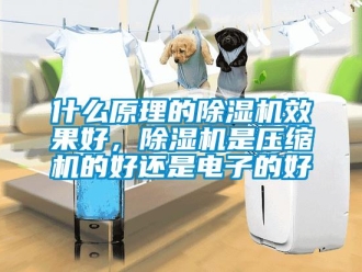 行業(yè)新聞什么原理的除濕機(jī)效果好，除濕機(jī)是壓縮機(jī)的好還是電子的好