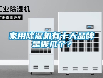 企業(yè)新聞家用除濕機(jī)有十大品牌是哪幾個？