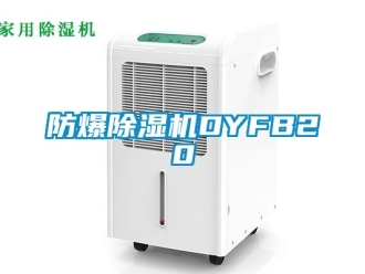 企業(yè)新聞防爆除濕機DYFB20