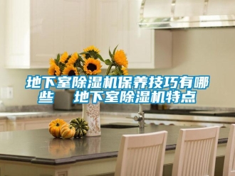 行業(yè)新聞地下室除濕機保養(yǎng)技巧有哪些  地下室除濕機特點