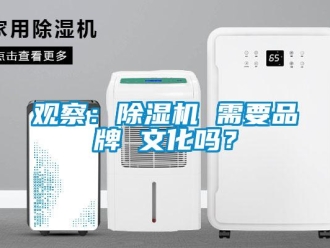 常見問題觀察：除濕機 需要品牌 文化嗎？