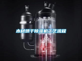 行業(yè)新聞木材烘干除濕機(jī)工藝流程