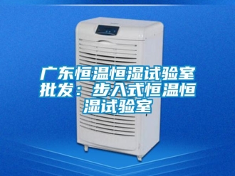 知識(shí)百科廣東恒溫恒濕試驗(yàn)室批發(fā)：步入式恒溫恒濕試驗(yàn)室