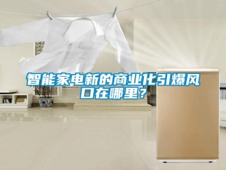 知識百科智能家電新的商業(yè)化引爆風(fēng)口在哪里？