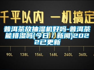 企業(yè)新聞普洱茶放抽濕機(jī)好嗎-普洱茶能排濕嗎(今日／新聞)2022已更新