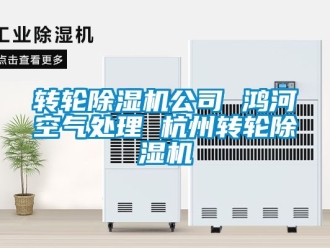 常見問題轉(zhuǎn)輪除濕機(jī)公司 鴻河空氣處理 杭州轉(zhuǎn)輪除濕機(jī)