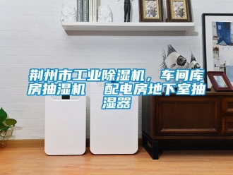 常見問題荊州市工業(yè)除濕機，車間庫房抽濕機  配電房地下室抽濕器