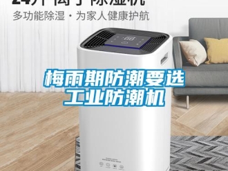 行業(yè)新聞梅雨期防潮要選工業(yè)防潮機