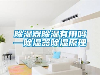 行業(yè)新聞除濕器除濕有用嗎—除濕器除濕原理